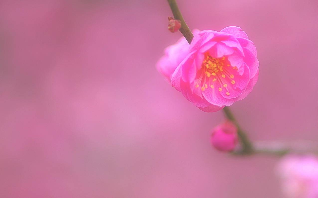 提醒越南apple id在别处登录（越南apple id注册） - 各区苹果ID - 55dz账号网