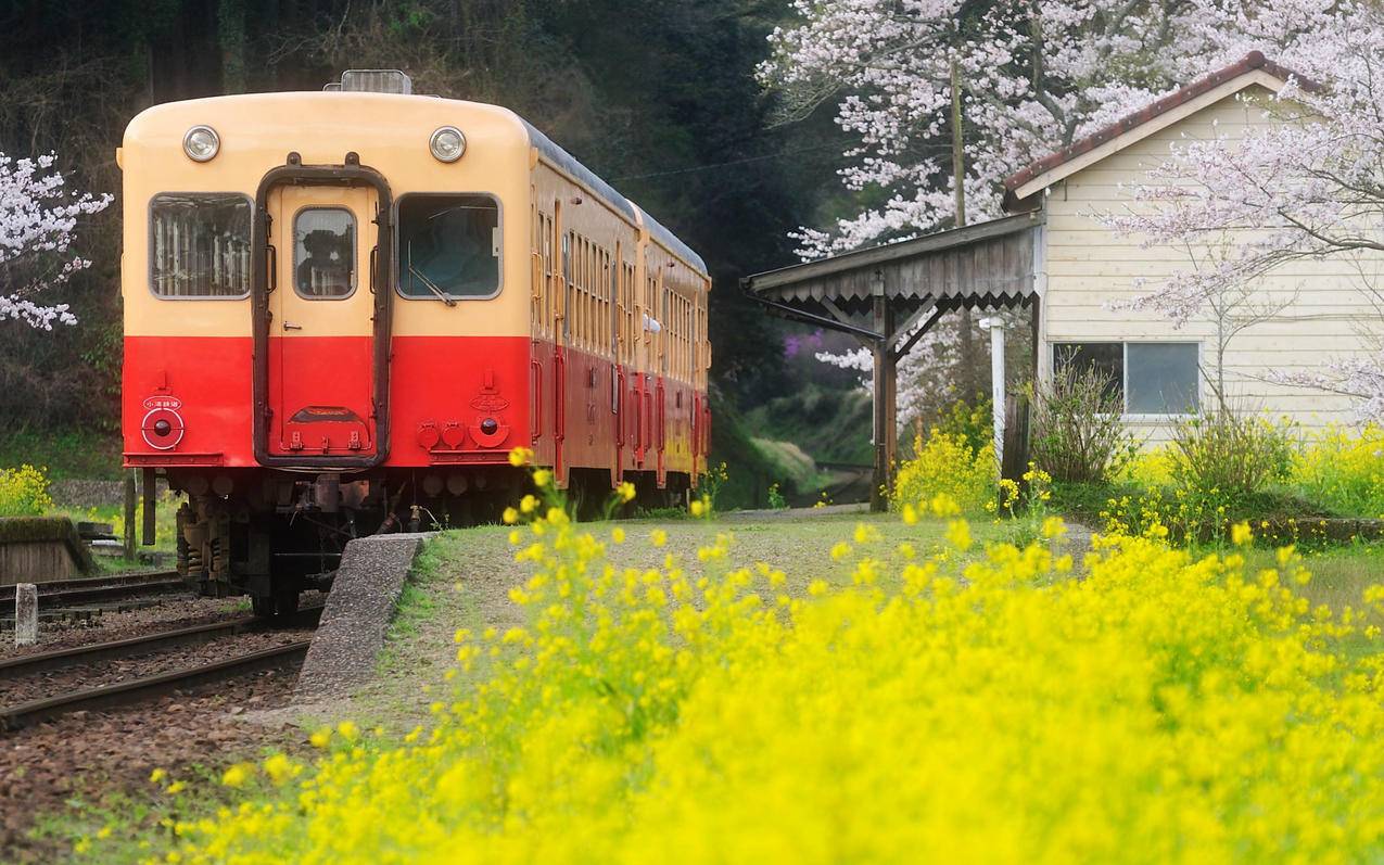 lol日服每月奖励_lol日服点劵 - 日本苹果ID - 55dz账号网