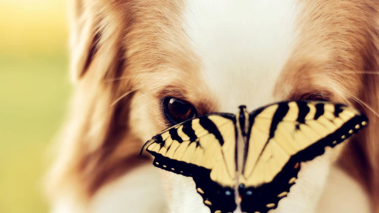 高级感ins风背景图女_高级感小众ins背景图 - INS相关 - 55dz账号网