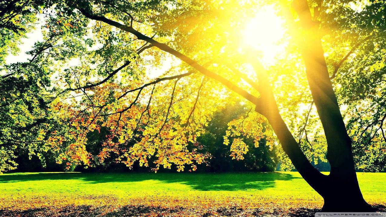 俞敏洪词根词缀记忆法有用吗_词根记忆法真的有用吗 - messenger相关 - 55dz账号网