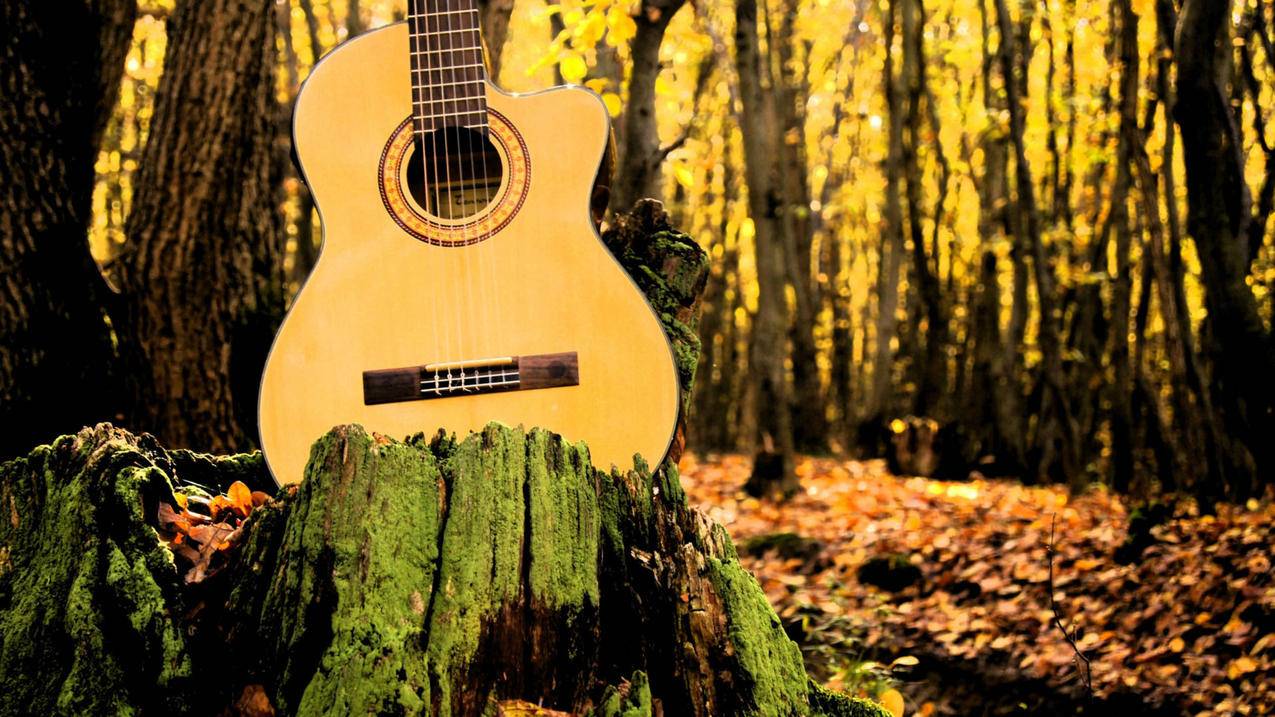 油管怎么搜用户_油管上怎么搜用户 - youtube相关 - 55dz账号网