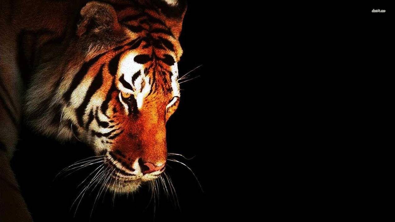 ssr转clash在线_ssr 转clash - clash相关 - 55dz账号网