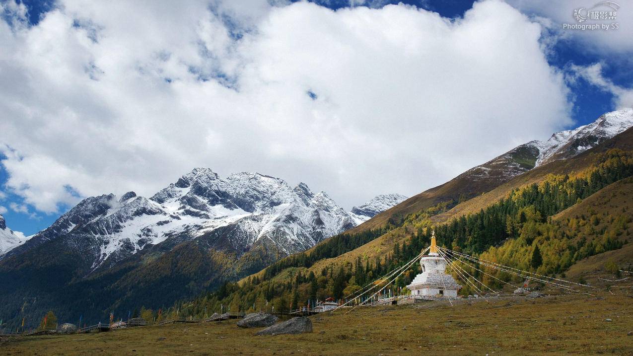 TikTok Shop直播购物广告怎么设置？-苹果id平台