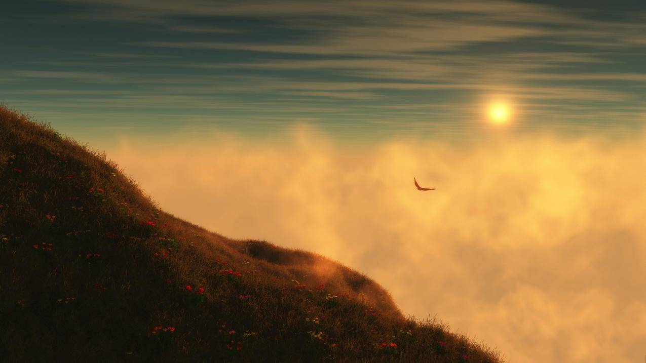 国际版抖音tiktok_国际版抖音tiktok下载安装教程 - 苹果APP下载 - 55dz账号网