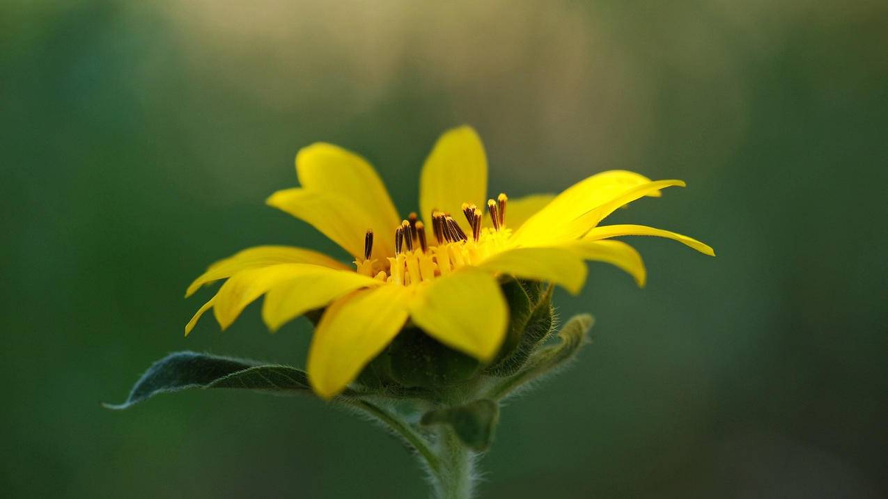 什么是油管帐号_谁有油管账号 - youtube相关 - 55dz账号网