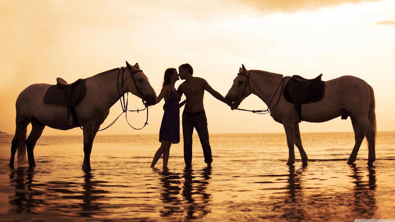 同一个越南苹果id买软件（越南苹果ID） - 各区苹果ID - 55dz账号网