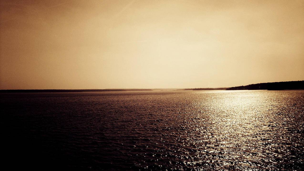 微信视屏号怎么经营 - 自助平台 - dy业务网