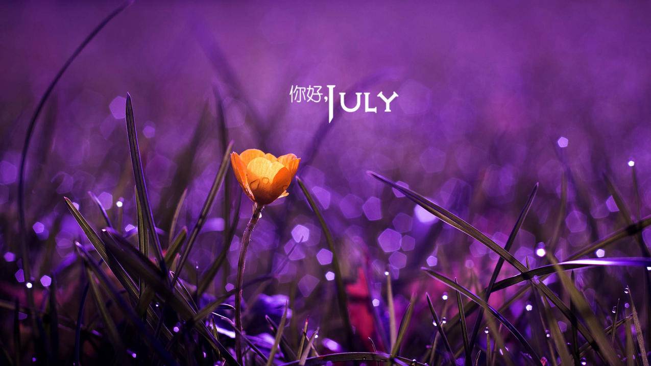 支付宝怎样绑定香港苹果id_苹果香港可以用支付宝吗 - 香港苹果ID - 55dz账号网