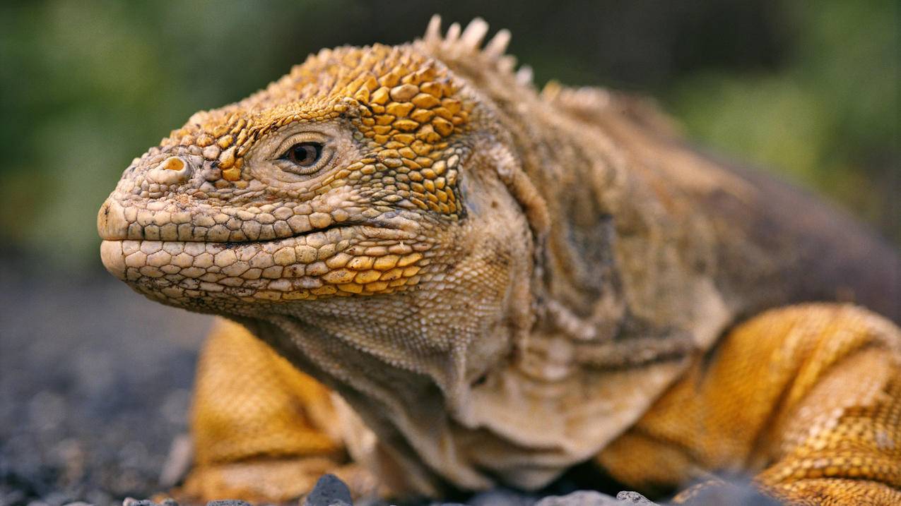 高中数学核心题库包括哪些内容和题型？ - 自助下单ks - ks24小时自助