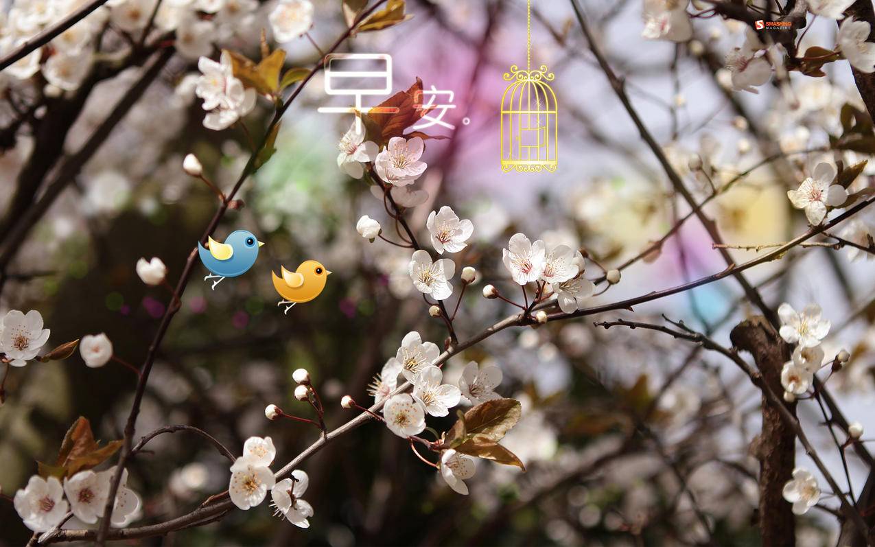 qq刷赞神曲 - qq标签刷赞免费_qq刷赞网站微博粉丝