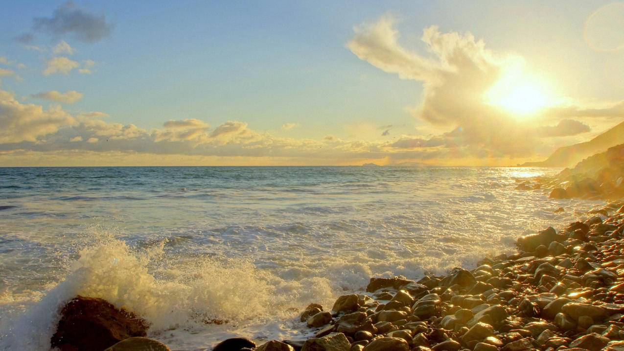 怎么注销iphone的id ， 用安卓手机怎么注销苹果账号  - 55dz账号网