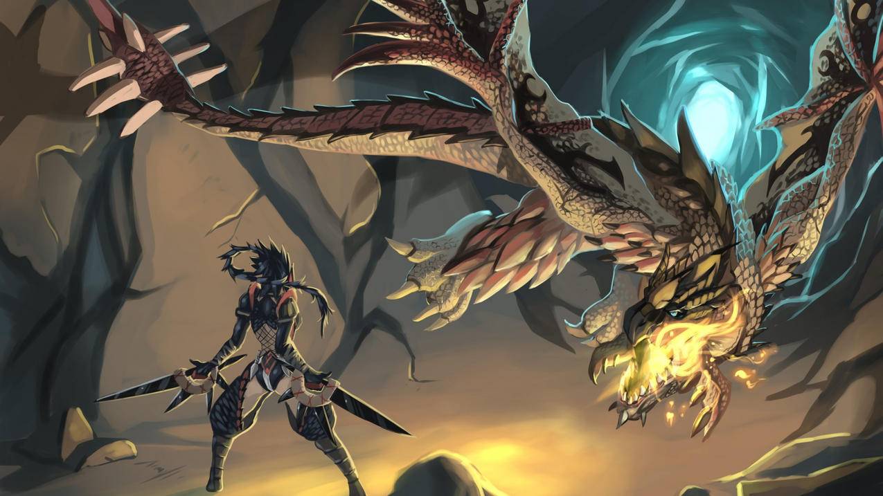 zoomfly3和飞马37哪个好_zoomfly3和飞马38 - zoom相关 - 55dz账号网