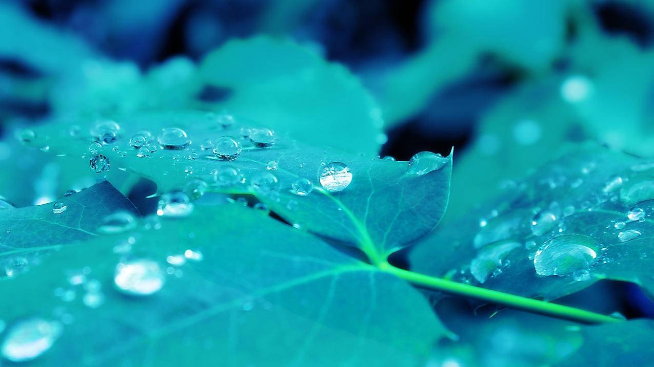 notability储存到icloud_notability不保存 - IOS分享 - 55dz账号网