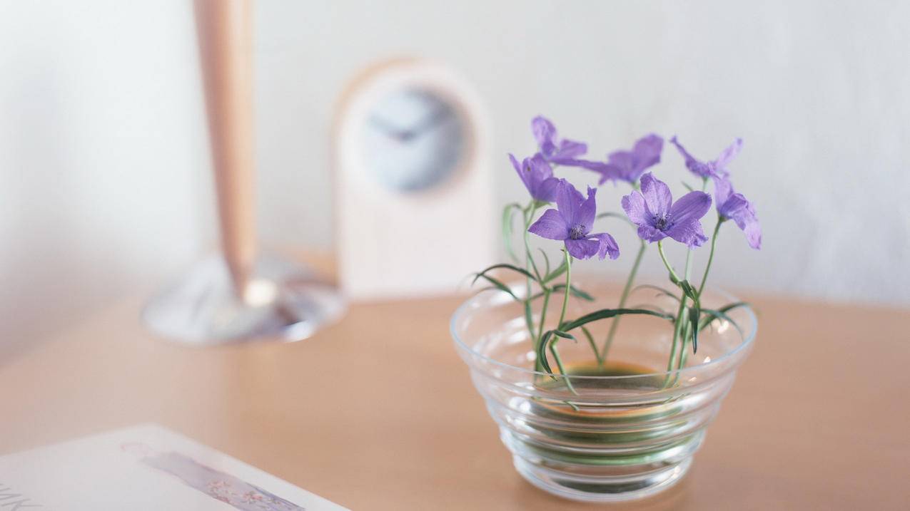 facebook注册显示网络错误_facebook为什么注册显示网络错误 - facebook相关 - 55dz账号网