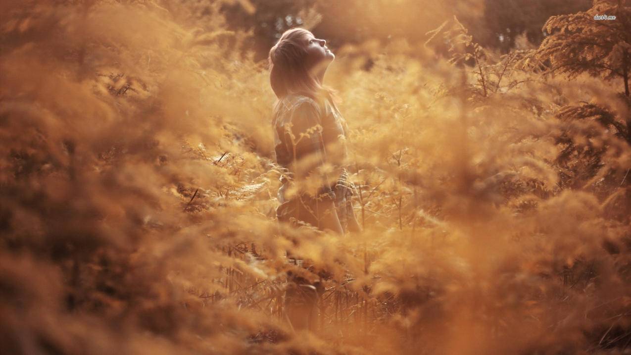 苹果appleid和密码大全_appleid与密码大全 - Apple ID相关 - 55dz账号网