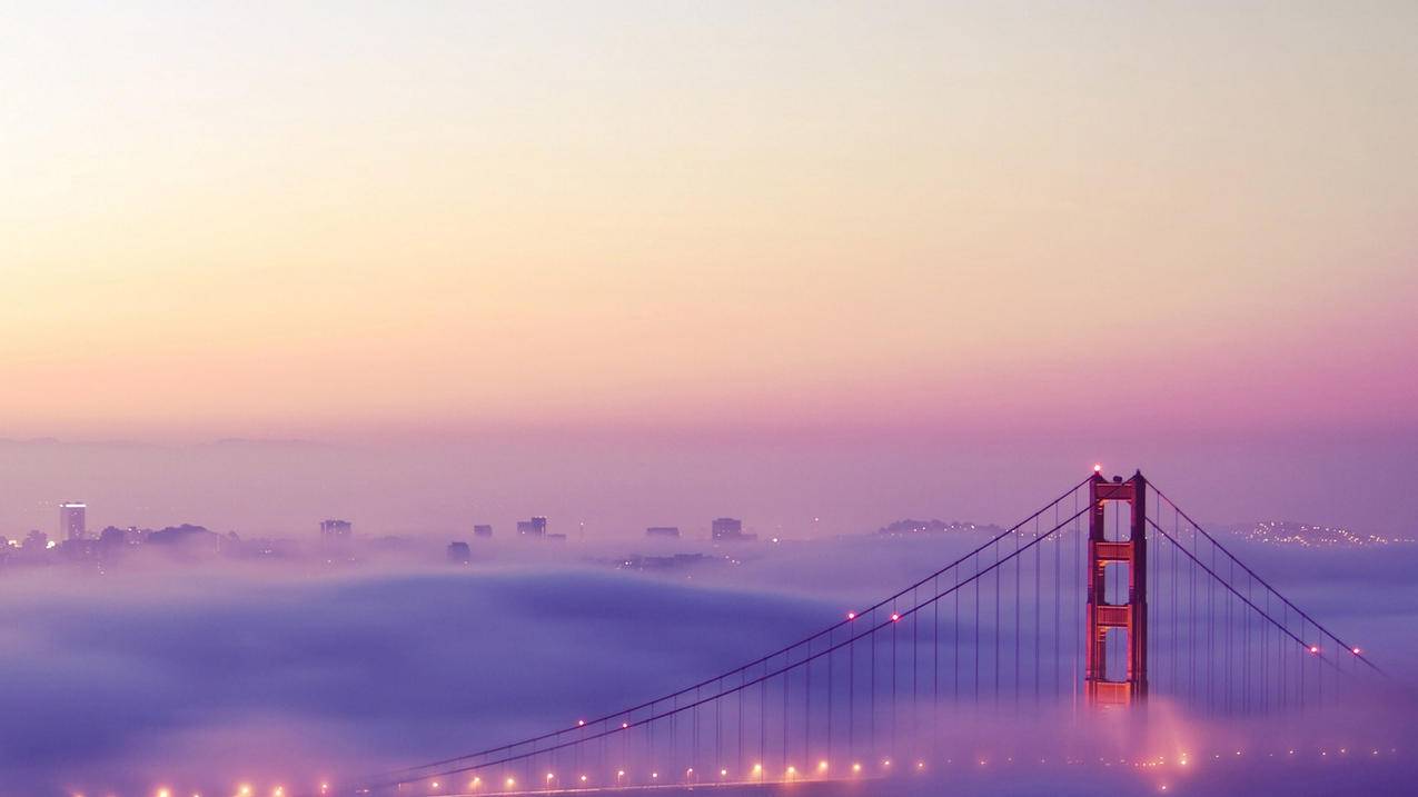 twitter输入手机号找不到账号怎么回事?  ( twitter手机号怎么注册? ) - 55dz账号网