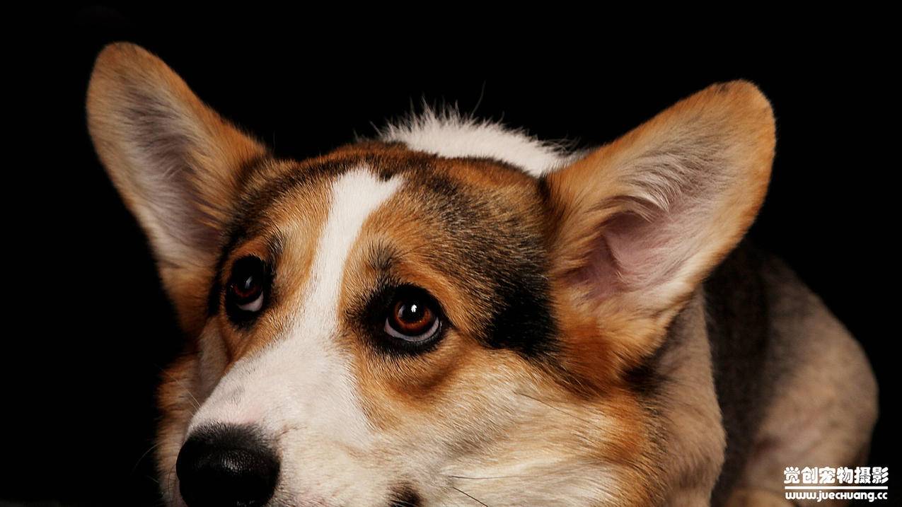 小红书网店如何做大 - 自助平台 - dy业务网