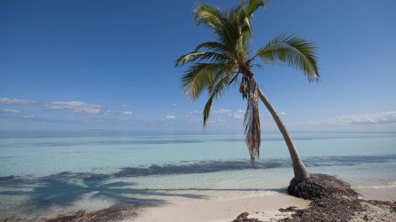 苹果手机登录不了米家_苹果手机连不上米家 - skype相关 - 55dz账号网