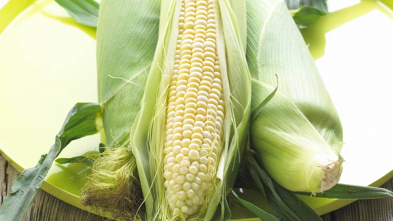 周杰伦的ins账号叫什么_周杰伦的ins账号叫什么名字 - INS相关 - 55dz账号网