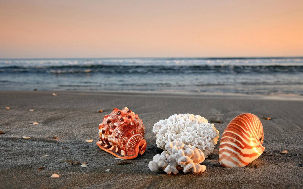 vivogoogle商店怎么卸载_vivo手机怎么卸载google服务框架 - google相关 - 55dz账号网