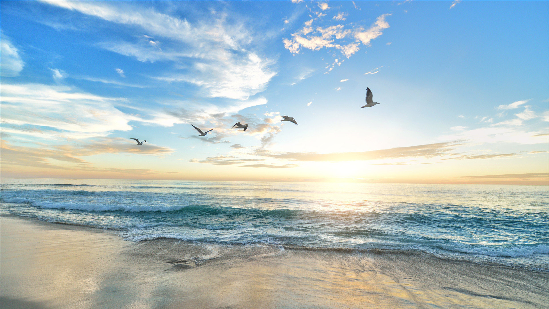 为什么美服苹果id无法验证身份_美版苹果id服务器验证失败 - 美国苹果ID - 55dz账号网