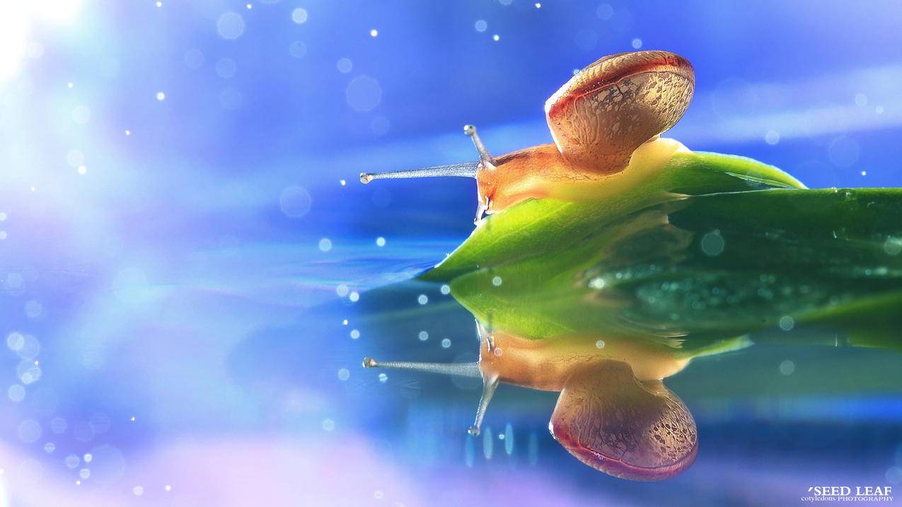 泰服Apple ID账号批发网站[独享使用更安全]_海外appleid