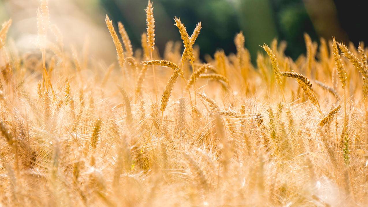 台湾苹果id怎么绑定游戏_台湾苹果id怎么绑定游戏账号 - 台湾苹果ID - 55dz账号网