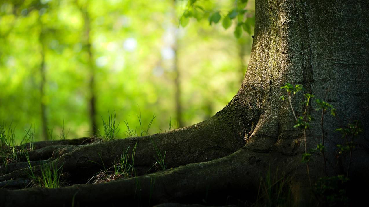 快手购买账号平台 - 快手买赞一元500个赞平台-qq免费刷赞平台业务