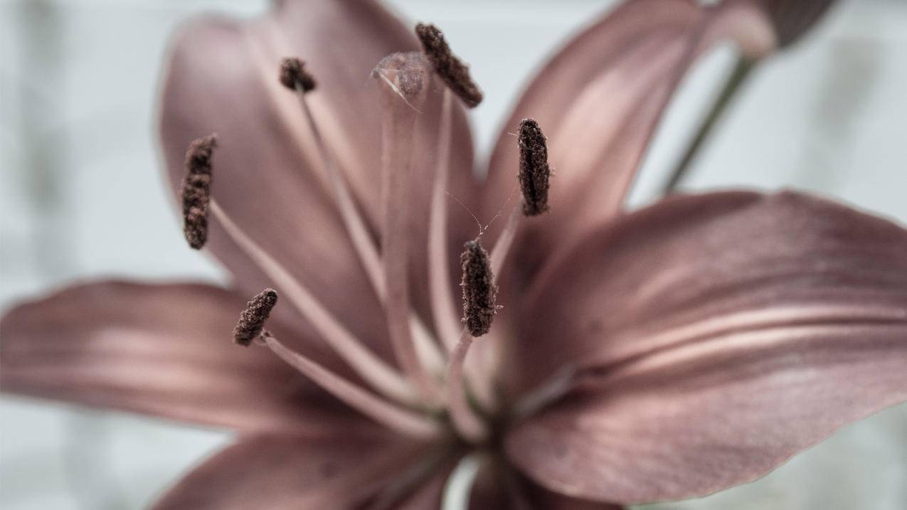 nba2kol2怎么换替补位置_nba2kol怎么把候补换下来 - IOS分享 - 55dz账号网