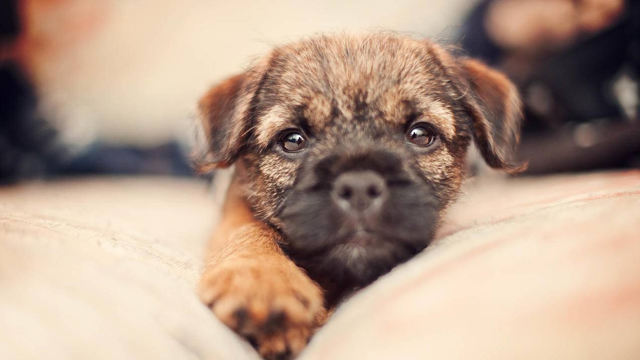 耐克zoomx价格_nike zoomx多少钱 - zoom相关 - 55dz账号网