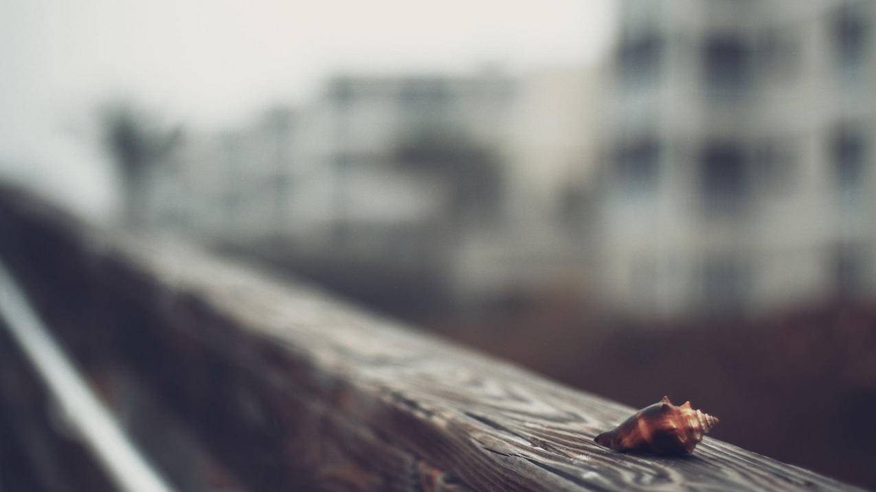 nikezoomwinflo5多少钱_Nikezoomwinflo - zoom相关 - 55dz账号网