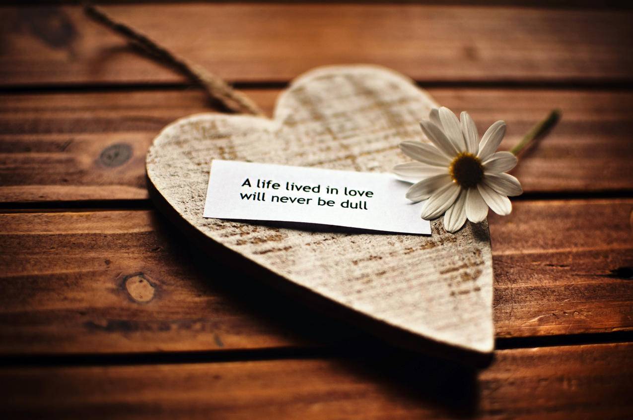 快手刷双击评论代刷网 - 最便宜刷业务网站,2018免费刷qq钻