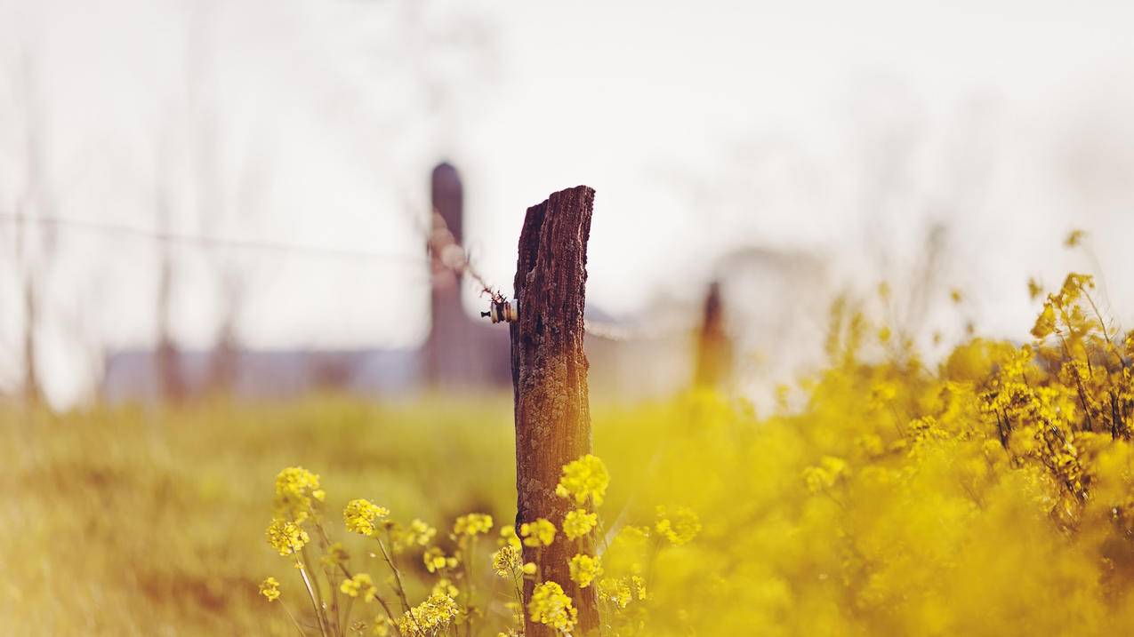 抖音快速刷赞软件-抖音作品秒刷点赞网站,空间刷赞平台全网,芯城24h自助下单平台,qq空间浏览量网站