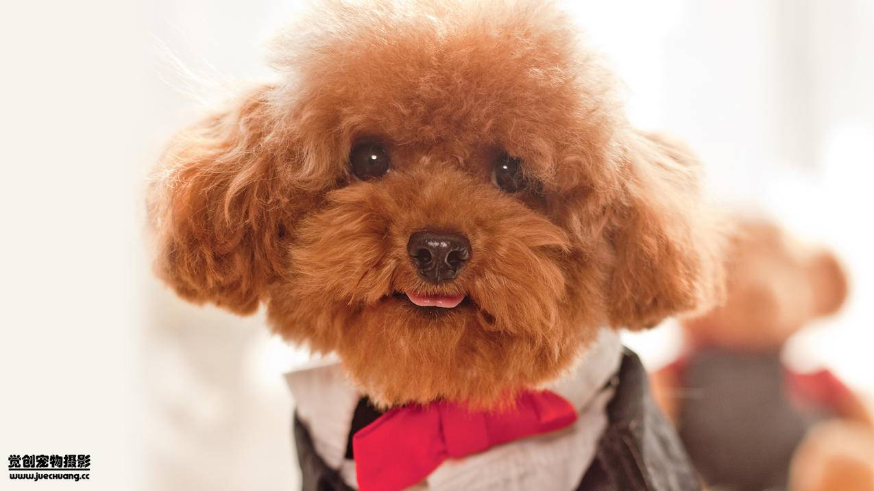 日本appleid账号密码忘了怎么办激活锁_appleid密码忘了怎么办要激活锁 - 日本苹果ID - 55dz账号网