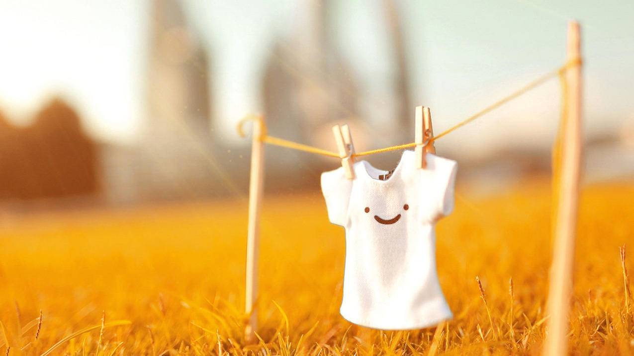 qq邮箱怎么申请注册支付宝_支付宝如何邮箱注册 - gmail相关 - 55dz账号网