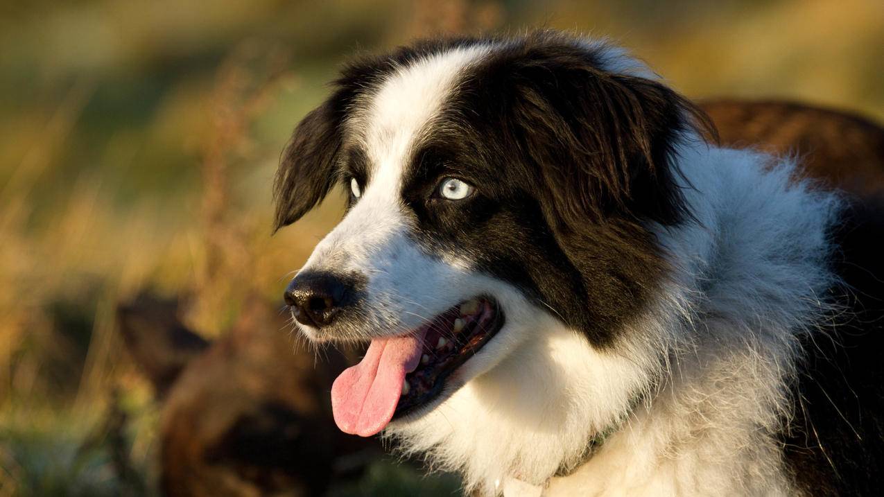 clash配置激活但无法联网_clash不能上网 - clash相关 - 55dz账号网