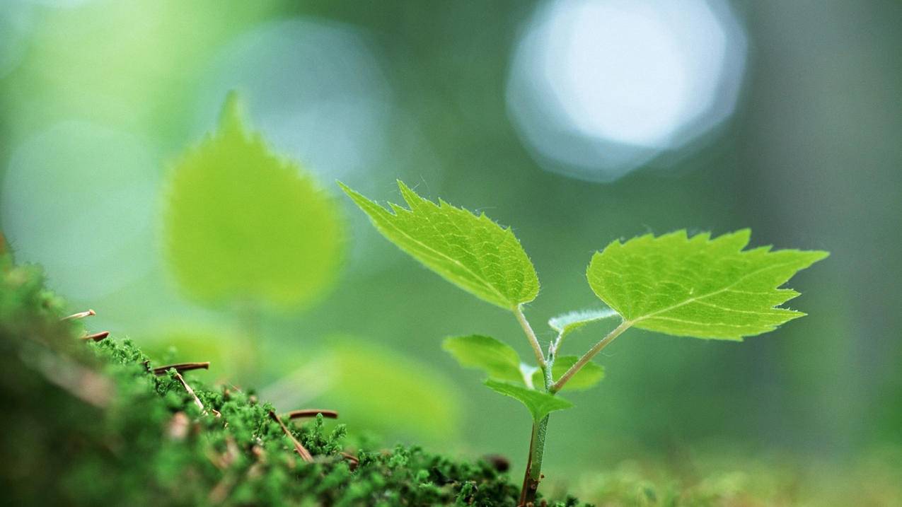 决斗链接苹果id怎么用兑换码_决斗链接苹果id怎么用兑换码登陆 - 各区苹果ID - 55dz账号网