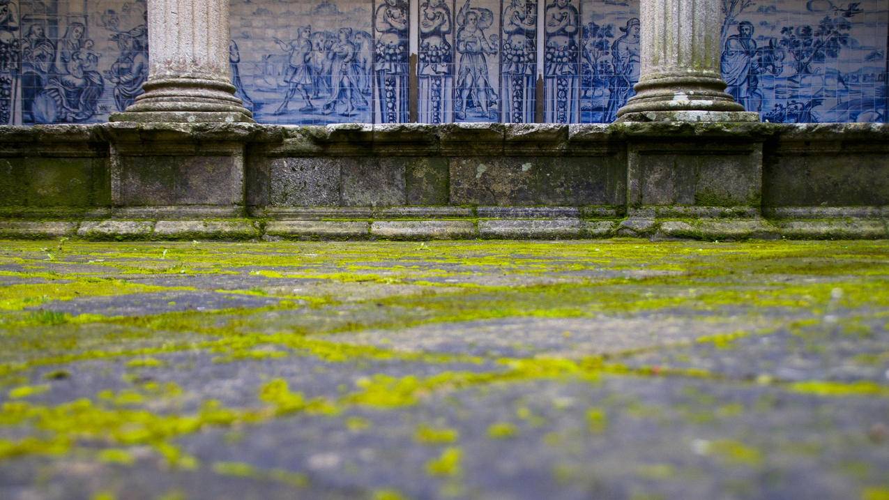 手机号怎么注册163邮箱_手机号注册163邮箱格式 - gmail相关 - 55dz账号网