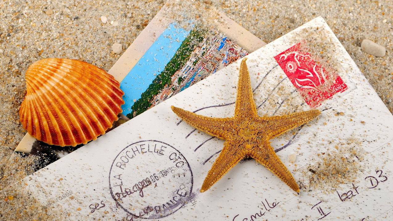 zoom能录制别人屏幕吗_zoom能录制别人屏幕吗手机 - zoom相关 - 55dz账号网