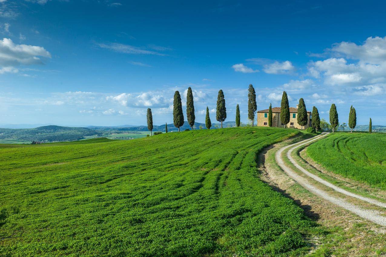 小学生如何正确整理数学错题本？高效方法分享 - 小学教育 - ks24小时自助