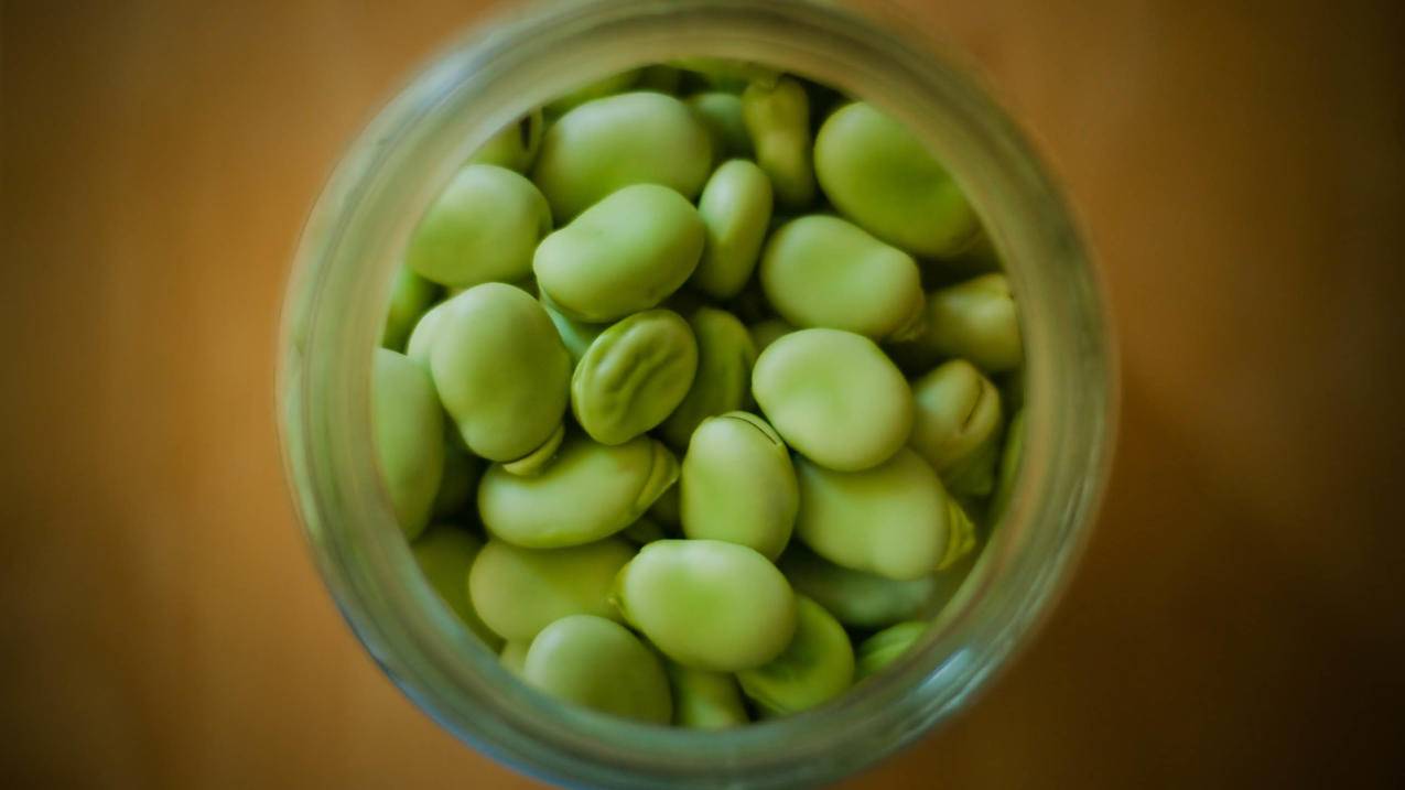 什么软件可以更新日服游戏_日服如何更新 - 日本苹果ID - 55dz账号网