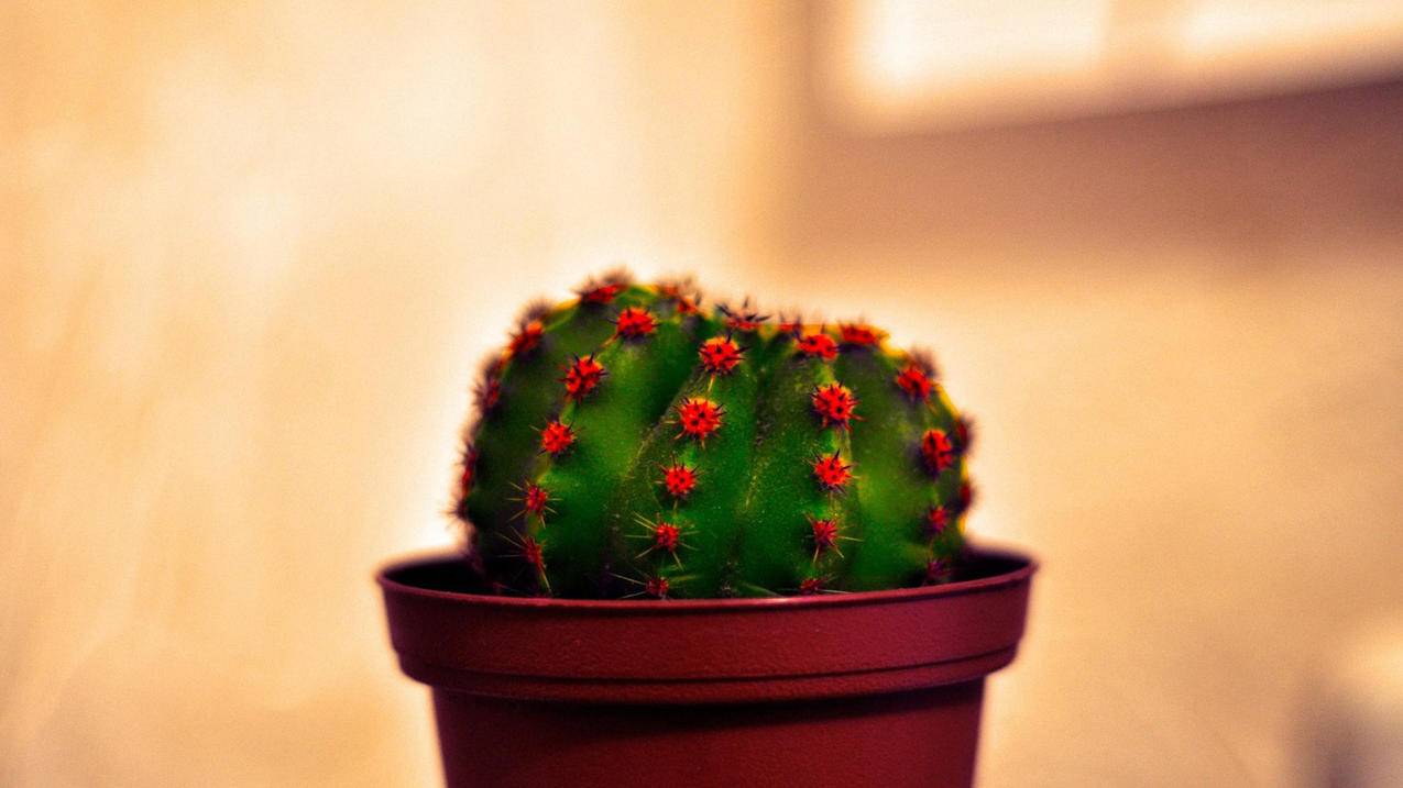 快手最便宜刷粉丝 - 弹幕刷人气-酷玩qq空间说说刷赞-qq刷免费刷赞网站大全