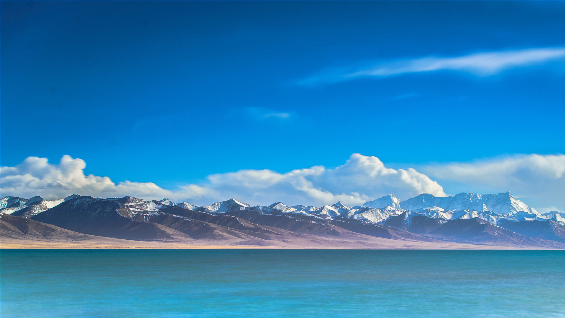 ks秒刷业务平台在线,刷ks双击平台软件,ks粉丝一元100个不掉粉网站