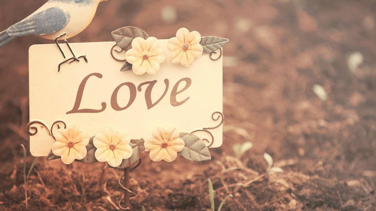 zoom共享屏幕如何共享声音ipad_zoom屏幕共享怎么共享视频声音 - zoom相关 - 55dz账号网