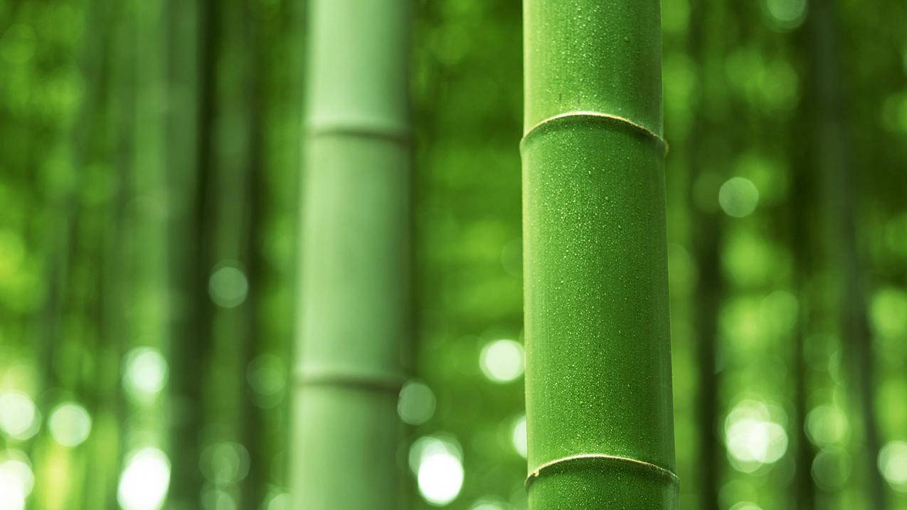 苹果手机id怎么激活? ， 苹果手机怎么激活Apple ID  - 55dz账号网