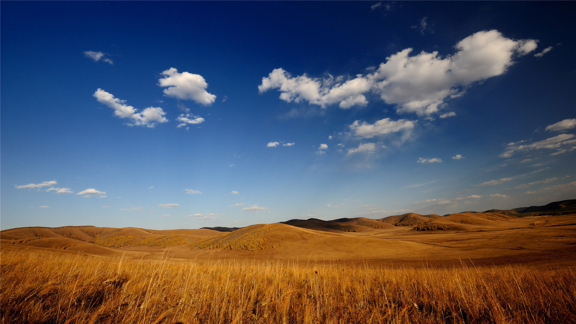 网易163邮箱相册怎么找回_163邮箱网易相册找不到了 - gmail相关 - 55dz账号网