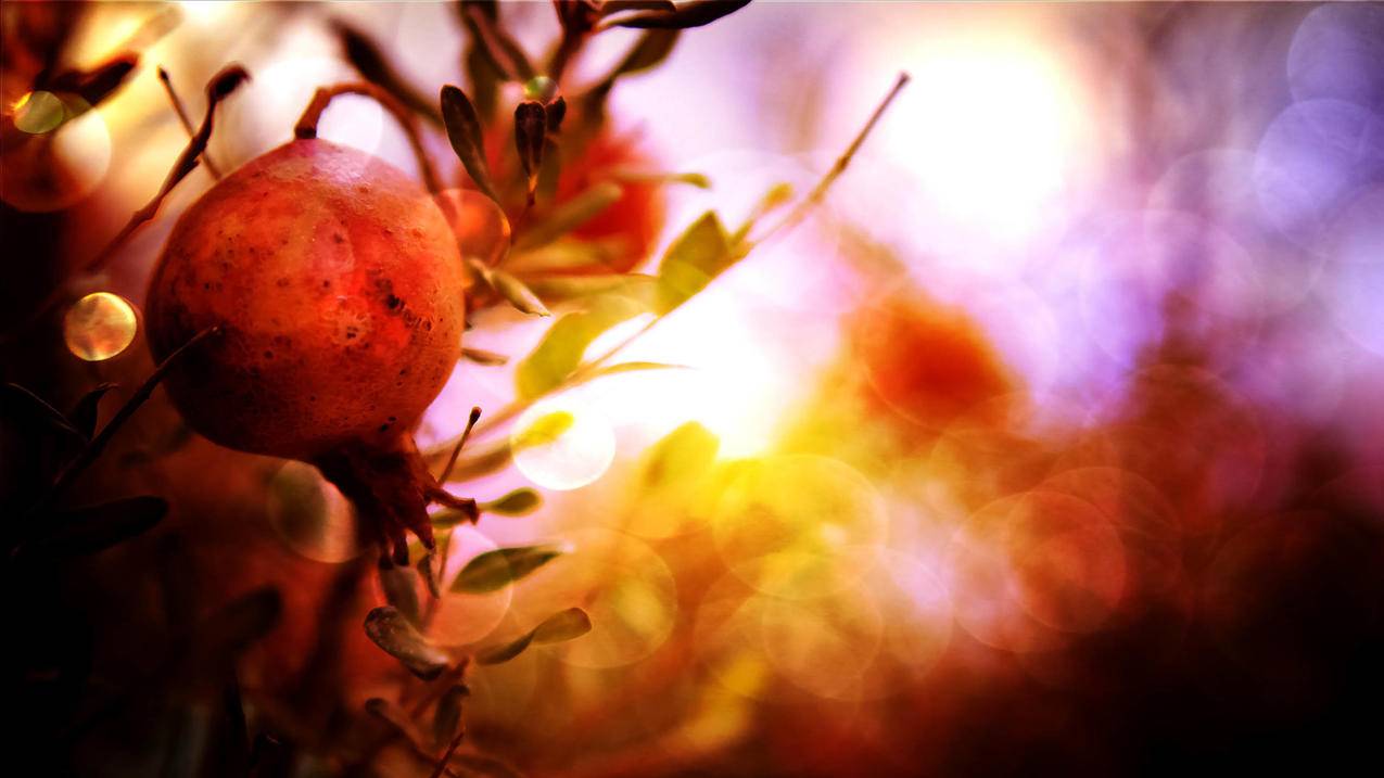 香港id密码大全未锁定4月_香港身份验证密码是多少 - 香港苹果ID - 55dz账号网