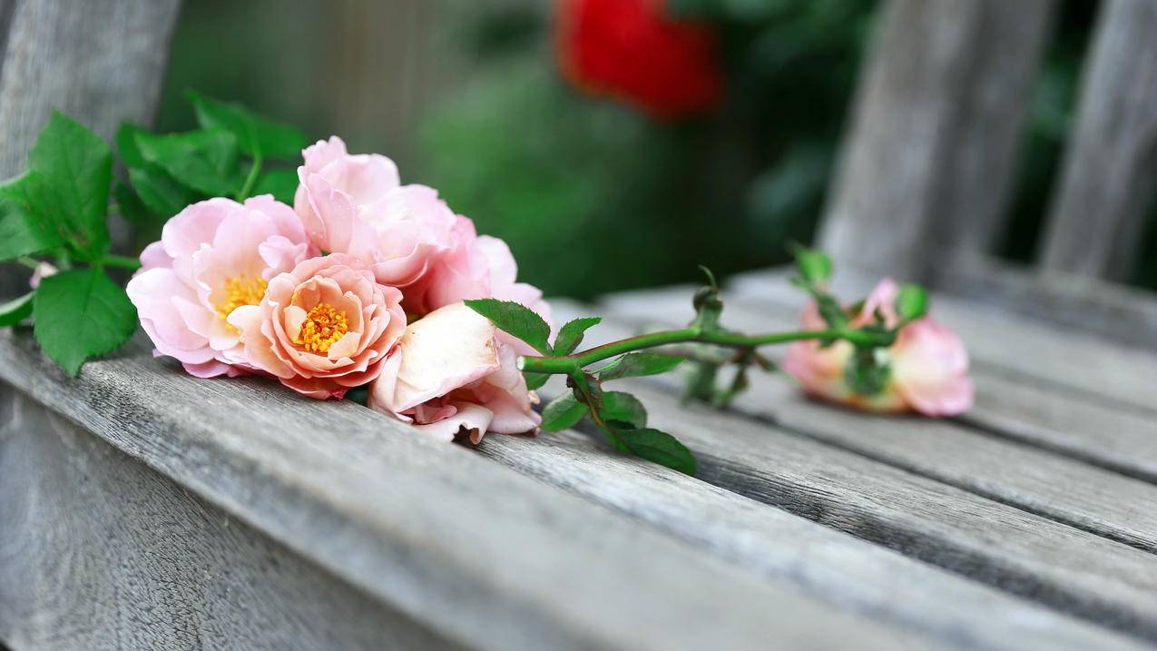 什么叫ins穿衣风格_穿衣风格除了ins风还有什么 - INS相关 - 55dz账号网