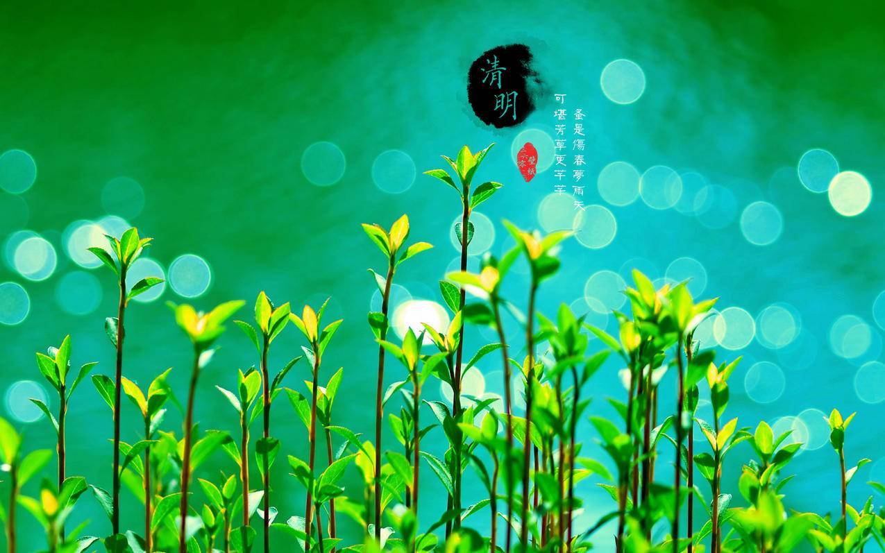 拼多多砍价怎么说声音-dy业务网