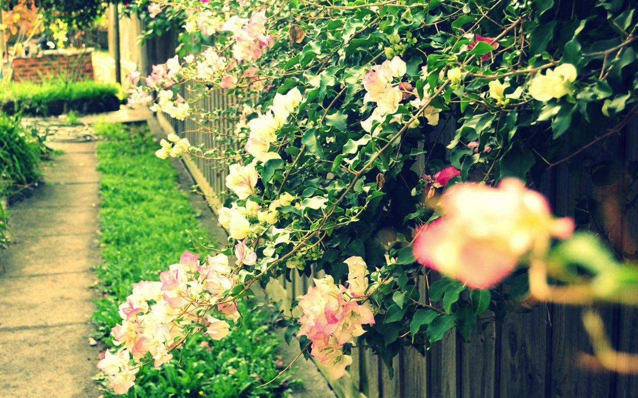 如何成功启动美妆电商创业项目，分步指南与实用技巧 - ks业务网 - ks业务下单